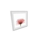 Ver imagem 2 de Quadro 4Pçs Campanula Rosa Folhas Cacto Vidro