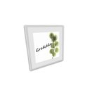Ver imagem 3 de Quadro 4Pçs Campanula Rosa Folhas Cacto Vidro
