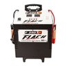 Carregador de Baterias Inteligente F250 RNEW - 12v - 2