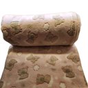 Ver imagem 1 de Cobertor Manta Coberta Solteiro Fofinha 2,20 X 1,50 - Ursa