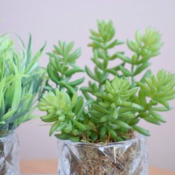 Arranjo de Folhagem e Suculentas no Vaso de Vidro - Kit com Dois Arranjos | Linha permanente - 3