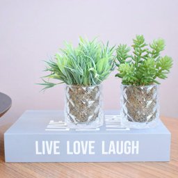 Arranjo de Folhagem e Suculentas no Vaso de Vidro - Kit com Dois Arranjos | Linha permanente - 1