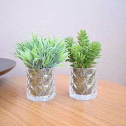 Arranjo de Folhagem e Suculentas no Vaso de Vidro - Kit com Dois Arranjos | Linha permanente - 6