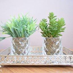 Arranjo de Folhagem e Suculentas no Vaso de Vidro - Kit com Dois Arranjos | Linha permanente - 9