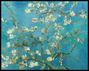 Ver imagem 1 de Quadro Amendoeira em Flor Vincent Van Gogh 40x50cm com Moldura