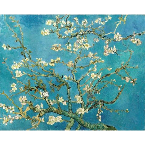 Quadro Amendoeira em Flor Vincent Van Gogh 30x40cm