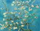Ver imagem 1 de Quadro Amendoeira em Flor Vincent Van Gogh 30x40cm
