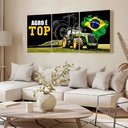 Ver imagem 2 de Kit 3 Quadro Decorativo Agro É Top Trator Brasil 28x20cm
