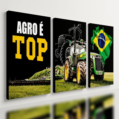 Kit 3 Quadro Decorativo Agro É Top Trator Brasil 28x20cm