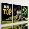 Kit 3 Quadro Decorativo Agro É Top Trator Brasil 28x20cm - 1