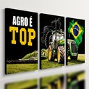 Ver imagem 1 de Kit 3 Quadro Decorativo Agro É Top Trator Brasil 28x20cm