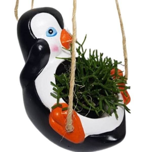 Pinguim Pendente Porta Vaso Para Suculentas E Cacto - 4