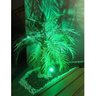 Kit 2x Espeto de Jardim 3w Verde Bivolt À Prova D'água - 2