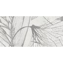 Ver imagem 3 de Papel de Parede Natureza Zoom Folhas 15c16bb