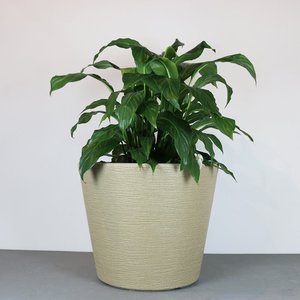 Vaso Terra Cone 55 X 46 Cm Vasart 11 - Granito Areia