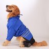 Capa de chuva para cachorro de grande porte Rafs Azul - 3