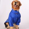 Capa de chuva para cachorro de grande porte Rafs Azul - 4