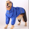 Capa de chuva para cachorro de grande porte Rafs Azul - 1