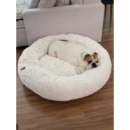 Cama Nuvem Luxo GG 80x80:Branco com Salmão - 1