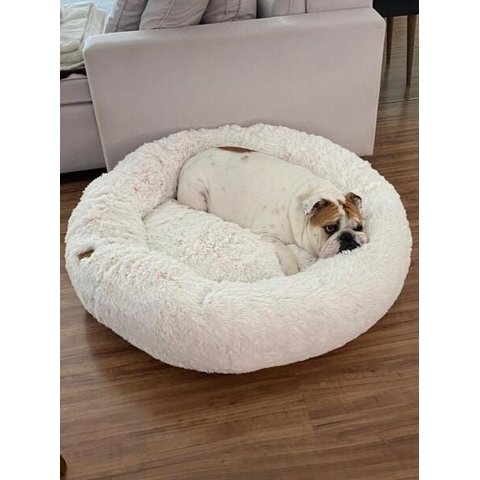 Cama Nuvem Luxo Gg 80x80:Branco com Salmão