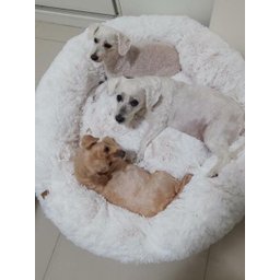 Cama Nuvem Luxo GG 80x80:Branco com Salmão - 5