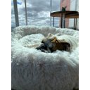 Ver imagem 6 de Cama Nuvem Luxo GG 80x80:Branco com Salmão