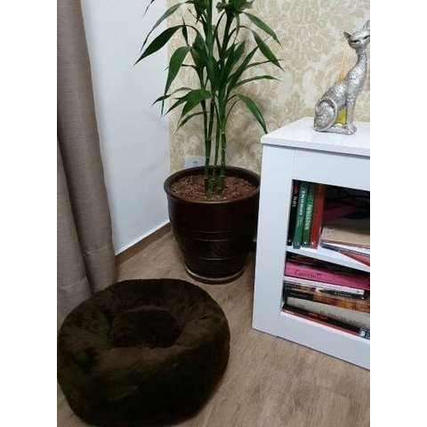 Cama Nuvem G 70x70:Marrom Pelúcia