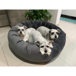 Cama Nuvem G 70x70:Cinza Escuro Veludo - 4