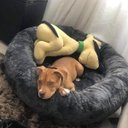 Ver imagem 4 de Cama Nuvem GG 80x80:Cinza Escuro Pelúcia