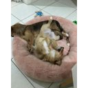 Ver imagem 3 de Cama Nuvem GG 80x80:Rose Gold Pelúcia