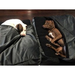 Cama Cave XG 100x100:Cinza com preto quadrada - 1