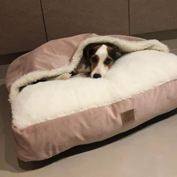 Cama Cave XG 100x100:Rose gold com marfim quadrada - 1