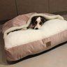 Cama Cave XG 100x100:Rose gold com marfim quadrada - 1