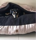 Ver imagem 1 de Cama Cave XG 100x100:Rose gold com preto quadrada