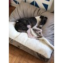 Ver imagem 5 de Cama Cave XG 100x100:Avelã com marfim quadrada