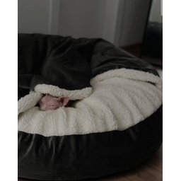 Cama Cave XG 100x100:Cinza com marfim redonda - 3