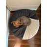Cama Cave XG 100x100:Cinza com marfim redonda - 6