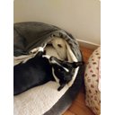 Ver imagem 5 de Cama Cave XG 100x100:Cinza com marfim redonda