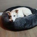 Ver imagem 4 de Cama Nuvem XG 100x100:Cinza Escuro Pelúcia