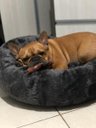 Ver imagem 6 de Cama Nuvem M 60x60:Cinza Escuro Pelúcia