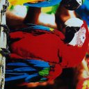 Ver imagem 3 de Toalha de Praia Margex Microfibra Estampada Araras Amarela/Vermelha