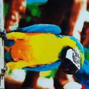 Ver imagem 2 de Toalha de Praia Margex Microfibra Estampada Araras Amarela/Vermelha