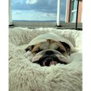 Ver imagem 4 de Cama Nuvem Luxo G 70x70:Branco com Salmão