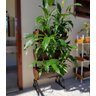 Horta Vertical 6 Jardineiras Marrom Suporte Plantas com Roda - 2