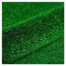 Grama Sintética 2,00 x 2,50m SoftGrass 12mm - Verde - 1