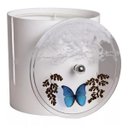 Ver imagem 1 de Cesto De Lixo Branco Decorado Com Borboleta Azul