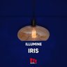 ILLUMINE PENDENTE AMBAR IRIS CABO PP 1,5MT - 2