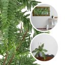 Ver imagem 6 de Kit 8 Plantas Artificiais para Jardim Vertical Decoração Residencial