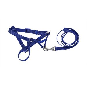 Guia Para Cães Com Peitoral