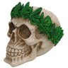 Cranio Caveira Cannabis Erva Decorativo Resina - 1
